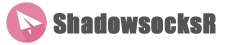 Website Logo
